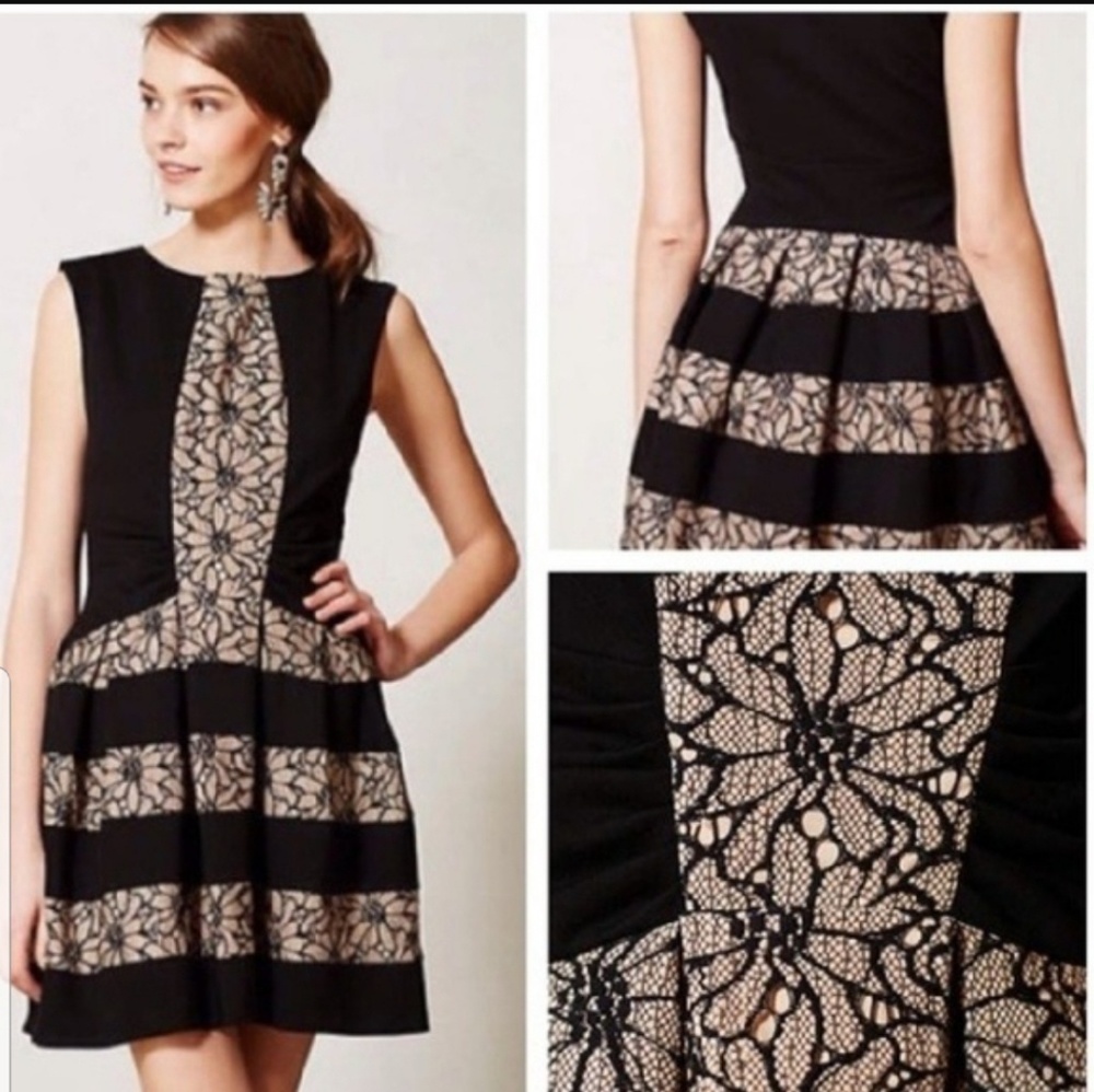 Anthropologie lace starta dress